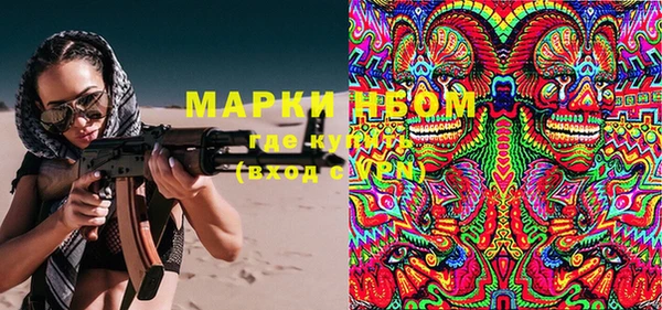 шишки Сатка