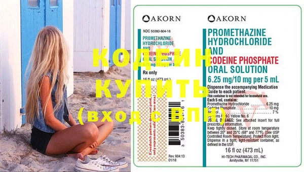 шишки Сатка