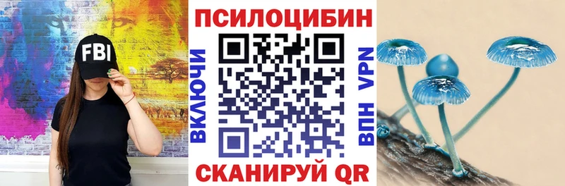 Купить где  Елизаветинская  Псилоцибиновые грибы MAGIC MUSHROOMS 